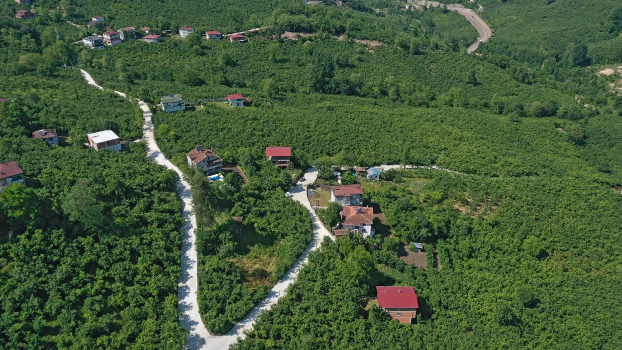 Haber Görseli