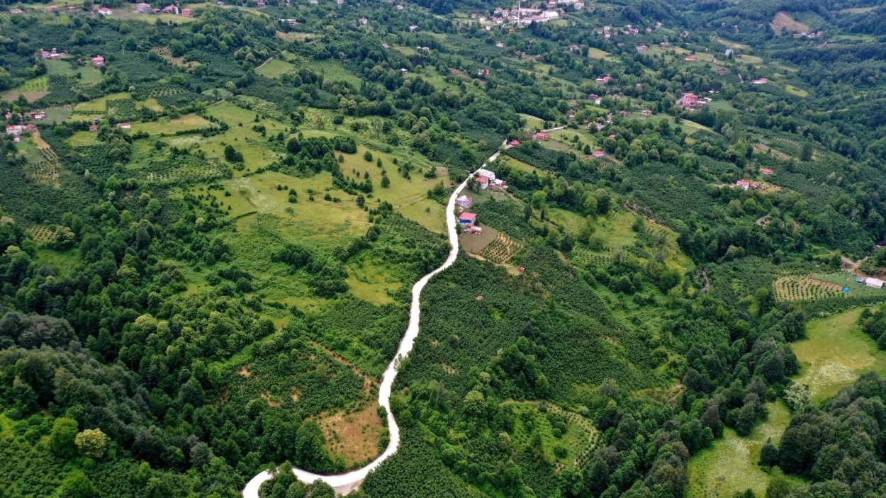 Haber Görseli