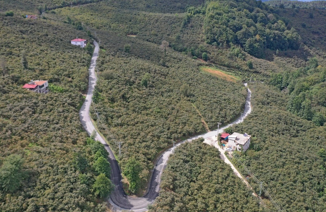 Haber Görseli